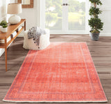 Chandler Coral Designer Oriental Area Rug - Modern Rug Importers