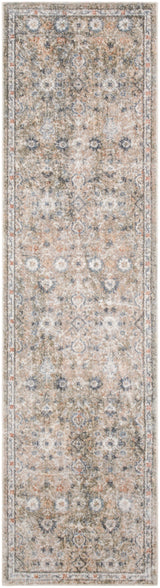 Nourison Astra Machine Washable ASW16 Silver Taupe Vintage Indoor Rug