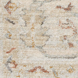 Nourison Traditional Home TRH02 Beige Vintage Indoor Rug