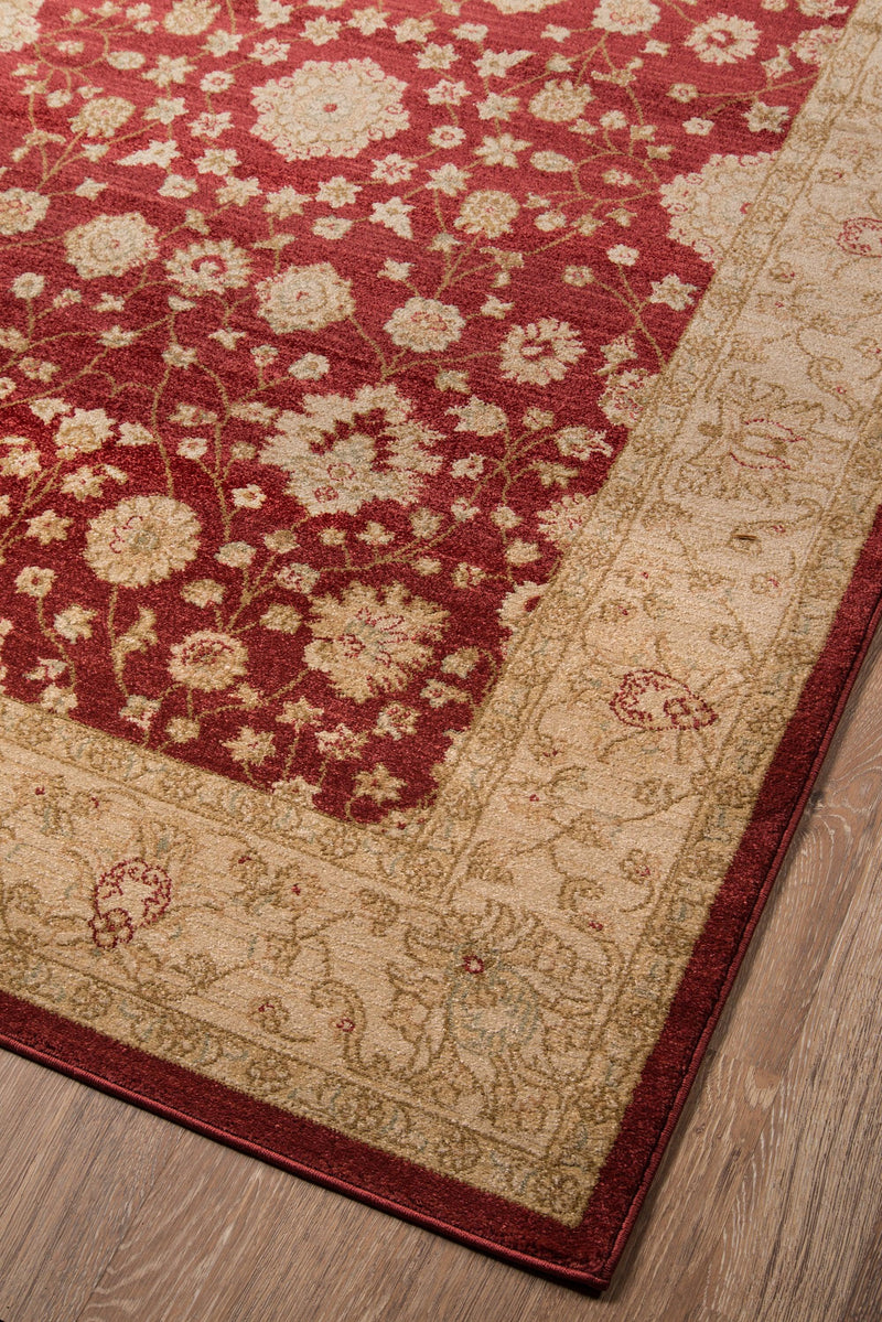 Ziegler Red Designer Oriental Area Rug - Modern Rug Importers