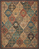 Nourison 2020 NR203 Multicolor Persian Indoor Rug