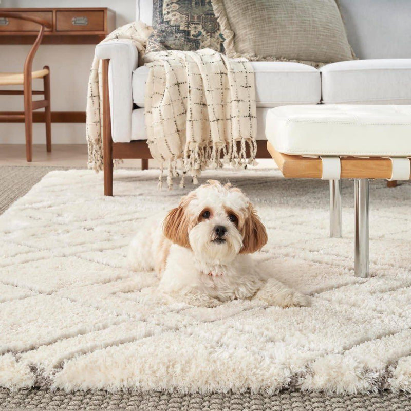 Nourison Dreamy Shag DRS07 Ivory Modern & Contemporary Indoor Rug