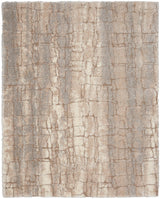 Nourison Dreamy Shag DRS09 Ivory Beige Modern & Contemporary Indoor Rug