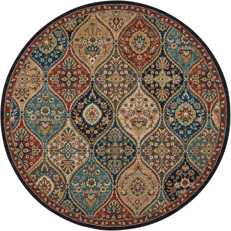 Nourison 2020 NR203 Multicolor Persian Indoor Rug