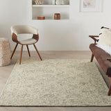 Nourison Colorado CLR05 Beige/Grey Modern Indoor Rug